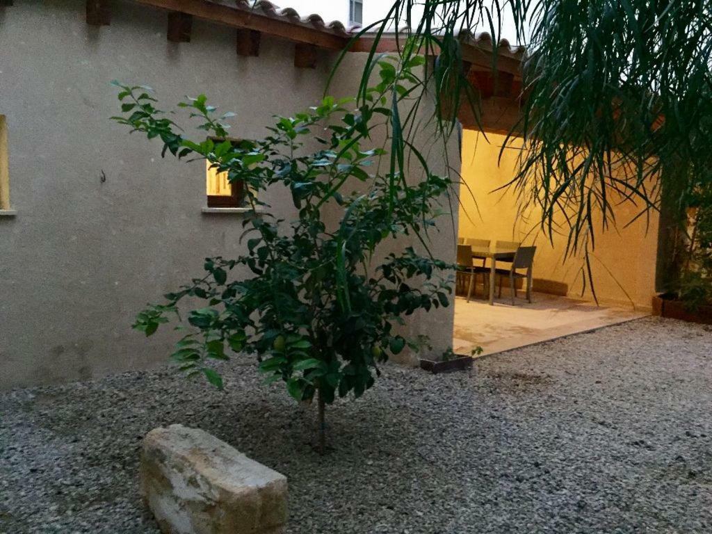 Almahome El Arenal  Exterior foto
